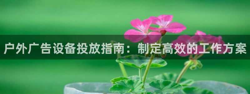 杏宇平台代理怎么赚钱